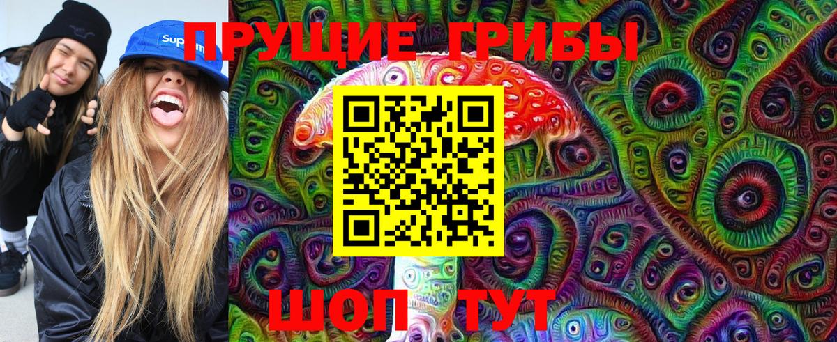 Псилоцибиновые грибы Psilocybine cubensis  Вход с VPN  Казань  Галлюциногенные грибы Psilocybine cubensis 