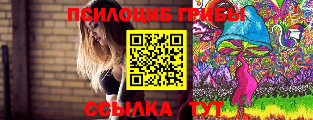 Псилоцибиновые грибы Psilocybine cubensis Казань